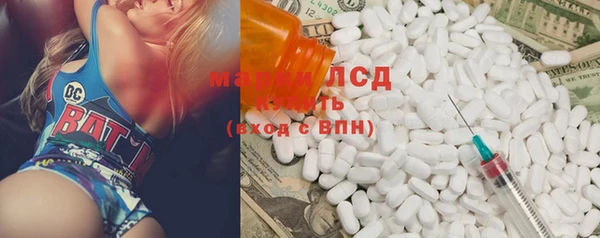 мет Алексин